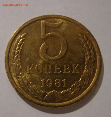 5 коп. 1981 г. - DSC01436.JPG