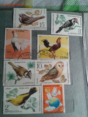 Коллекция по нескольким темам на оценку - IMG-20160610-WA0021