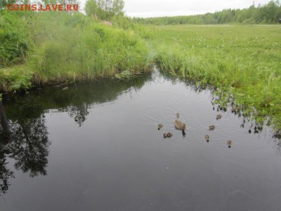 делает - прямо сейчас !!! - IMG_6232.JPG