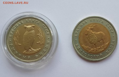 КК 91 Филин и Козел отличные, КОРОТКИЙ, до 16.06.16 - 20160614_153345