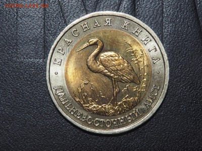 Красная книга 1993 Дальневосточный аист до 17.06.16 в 22.00 - P6154343_thumb