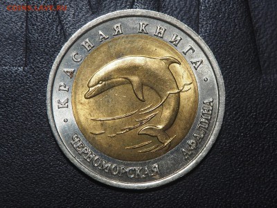 Красная книга 1993 Черноморская афалина до 17.06.16 в 22.00 - P6154379_thumb