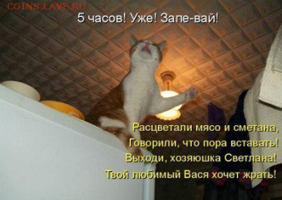 веселые картинки - APsHtyIB32E