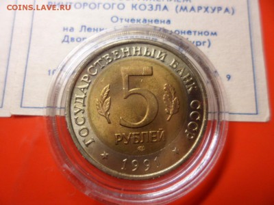 ФИКС. КК 1991 Филин и Козёл UNC 21.06.16 23.00 - SAM_6496.JPG
