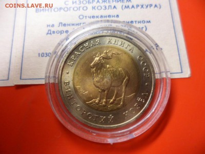 ФИКС. КК 1991 Филин и Козёл UNC 21.06.16 23.00 - SAM_6495.JPG
