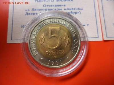 ФИКС. КК 1991 Филин и Козёл UNC 21.06.16 23.00 - SAM_6494.JPG