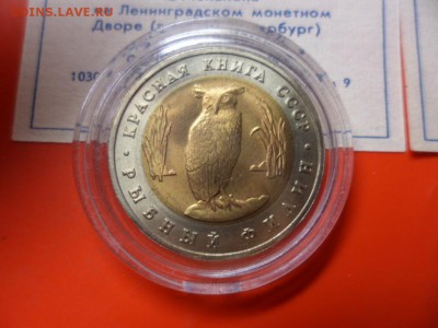 ФИКС. КК 1991 Филин и Козёл UNC 21.06.16 23.00 - SAM_6493.JPG