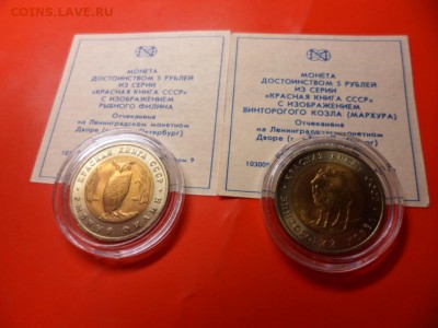 ФИКС. КК 1991 Филин и Козёл UNC 21.06.16 23.00 - SAM_6492.JPG
