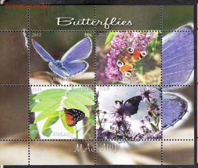 Малави 2012 бабочки - 83