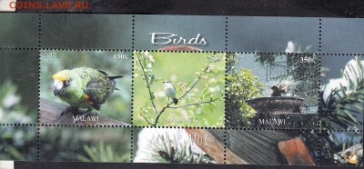 Малави 2012 птицы - 89