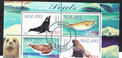 Малави 2010 тюлени - 133