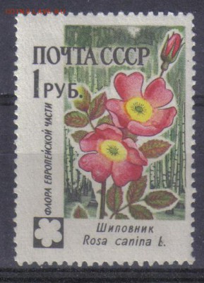 СССР 1960г 1 руб Флора СССР ЧБН до 17.06 22.00мск - СССР 1960г 1 руб Флора СССР ЧБН