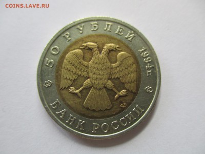 Слепыш из красной книги - IMG_4644.JPG