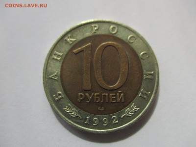 Краснозобая казарка с расколом - IMG_4647.JPG