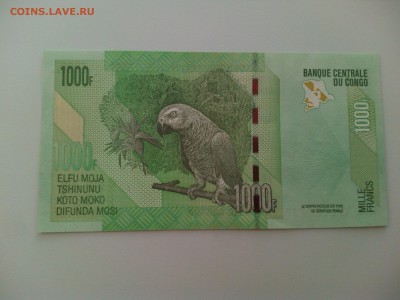 Конго 1000 франков 2005, пресс, до 23.06. - IMG_20160614_190924