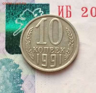 б - IMG_7462.JPG