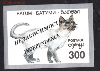 Батум кошки блок - 15