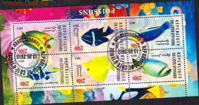 Берег Слоновой Кости 2013 рыбки - 39