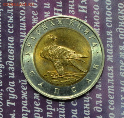 Красная книга 50р 1994 Сапсан до 22.06 в 22:10 - сапсан а