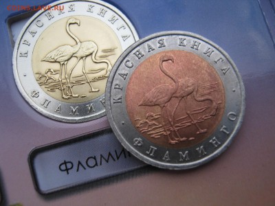 mazrop торговля фуфлом на форуме - IMG_1168.JPG