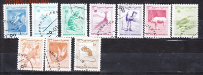 Сахара 1998 фауна - 100