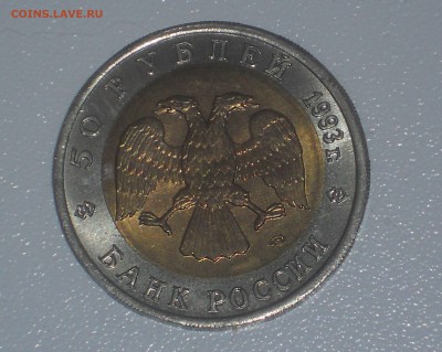 50р 1993 ТУРКМЕНСКИЙ ЭУБЛЕФАР до 20.06 БЫСТРЫЙ АУКЦИОН - DSCN7982.JPG