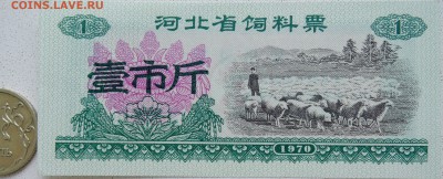 КИТАЙ-"рисовые деньги" 1 ед. 1970 г. до 26.06 в 22.00 - DSCN5532.JPG