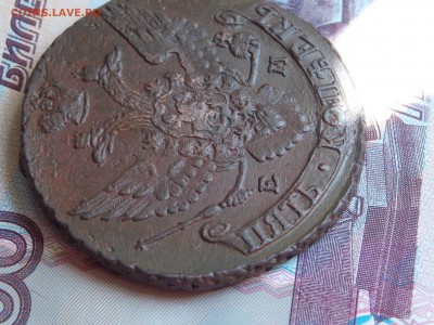 5 копеек 1794 г. ЕМ предпродажная оценка - DSCN5565.JPG