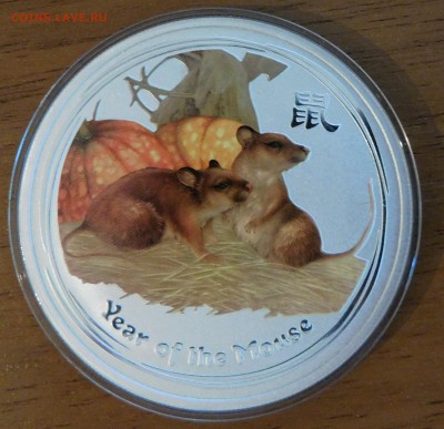 06 - DSCN4741.JPG