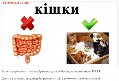 404 - страна абсурда или всё про Украину - image