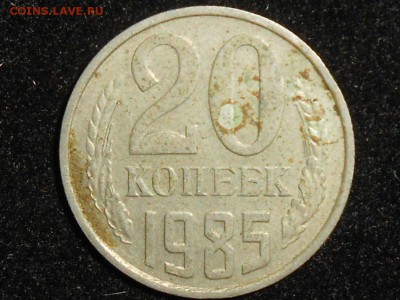 Ф-155 - 033.JPG