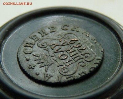 1769  полушка к.м. сибирка приятная. до 21.06 - P1140307.JPG