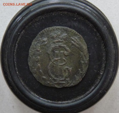 1769  полушка к.м. сибирка приятная. до 21.06 - P1140306.JPG