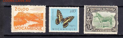 Мозамбик Ньясса Флора фауна - 29