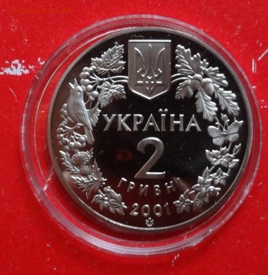 Украина 2001 Фауна - Рысь_1 до 26.06.2016г 22-00 - DSC09126.JPG