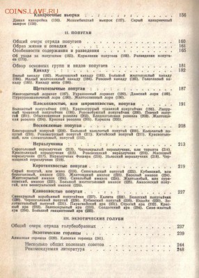 Лукина Е.В. Экзотические птицы в нашем доме до 25.06 22.00мс - Экзотические птицы в нашем доме-3