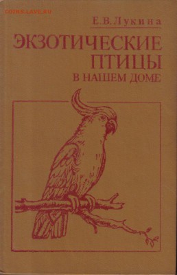Лукина Е.В. Экзотические птицы в нашем доме до 25.06 22.00мс - Экзотические птицы в нашем доме-1