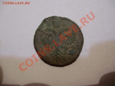 полушка 1730г. и денга 1730г. - PB160273л