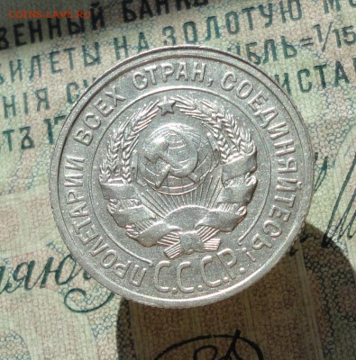 20 копеек 1924 года Кладовая красавица. До 27.06.16. - DSC06170.JPG