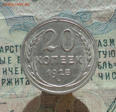 20 копеек 1925 года Кладовая красавица. До 27.06.16. - DSC06222.JPG