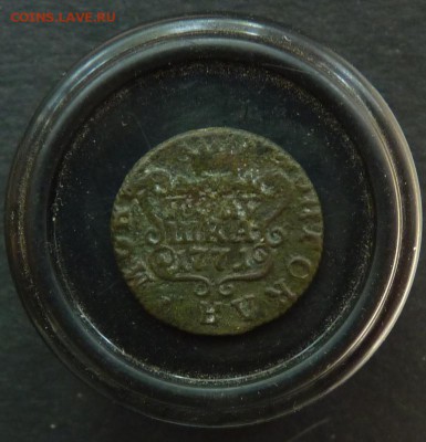 Полушка 1771 к.м. сибирка до 27.06 - P1140344.JPG