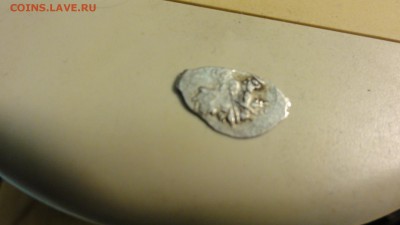 вот такая лошадь - DSC02829.JPG