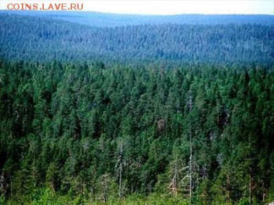 За вами следят - 31813904782757