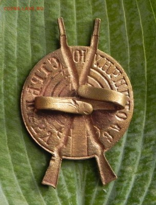 Знак"За отличную стредьбу".Окончание 28 в 22.00 - DSCN3705.JPG