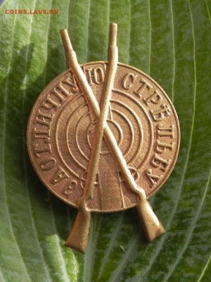 Знак"За отличную стредьбу".Окончание 28 в 22.00 - DSCN3702.JPG