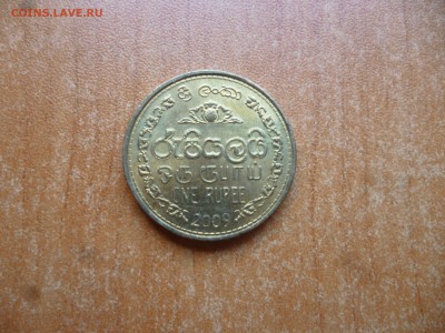 с 1 рубля- ШРИ-ЛАНКА 1 рупия 2009г. до 30.06.16 22-00 мск - P1040546.JPG