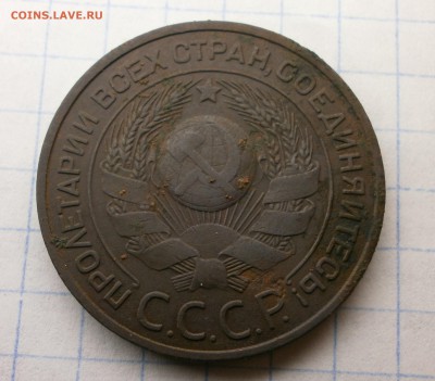 3 копейки 1924 года. 4 стебля в срезе колосьев . - P6260022.JPG