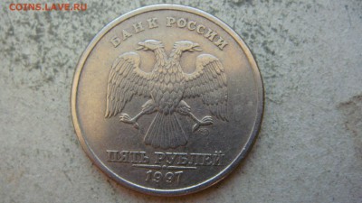 Вопросы по разновиднстям от сахарок - DSC06461.JPG