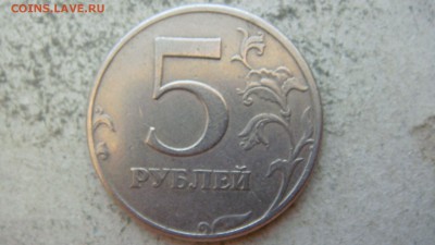 Вопросы по разновиднстям от сахарок - DSC06460.JPG