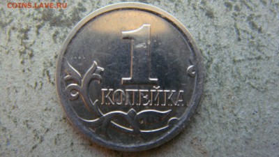 Вопросы по разновиднстям от сахарок - DSC06458.JPG